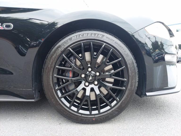 Used 2019 Ford Mustang GT for sale Sold at Victory Lotus in New Brunswick, NJ 08901 7